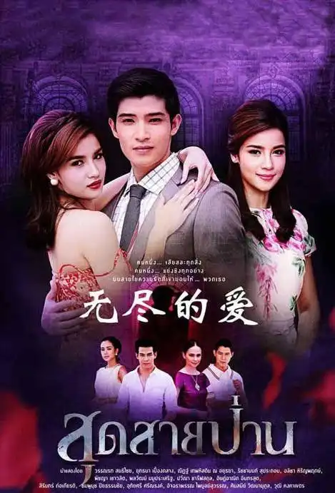 无尽的爱电视剧