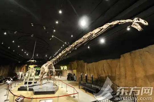 马门溪龙化石东方网记者曹子琛7月19日报道:近日,以"失落的世界"为