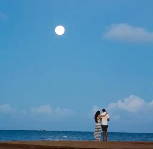 月下情侣wellington point