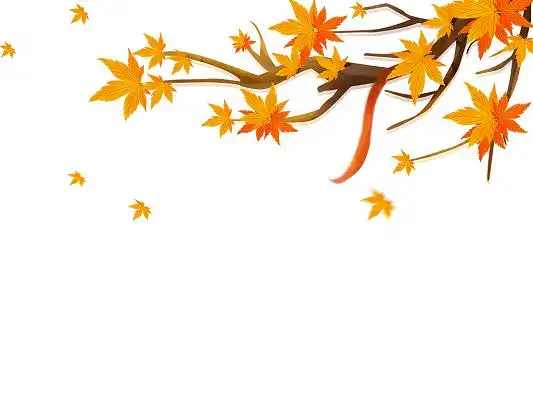 红色手绘卡通枫叶枫树秋天秋季元素png素材