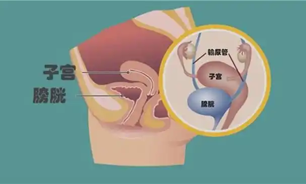 孕妇喝水少影响尿液检查吗