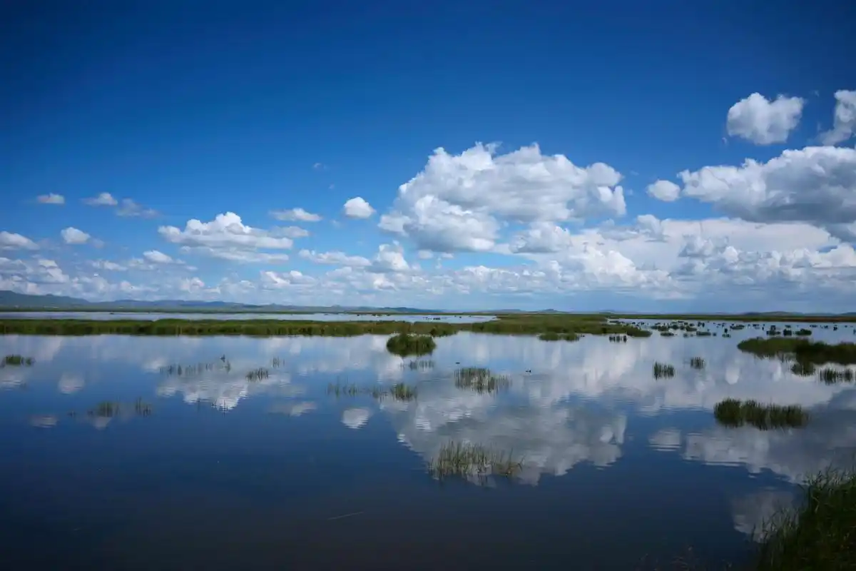 若尔盖草原——花湖 今天主要是去网红打卡地若尔盖花湖景区,花湖之名