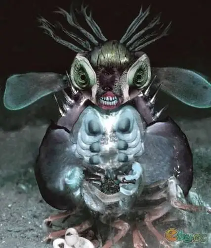 恐怖的海底生物