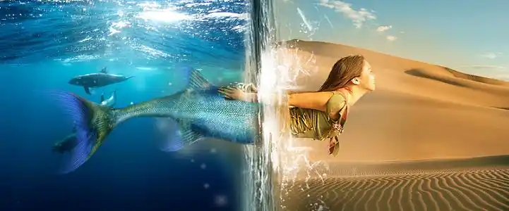 穿越时空美人鱼banner