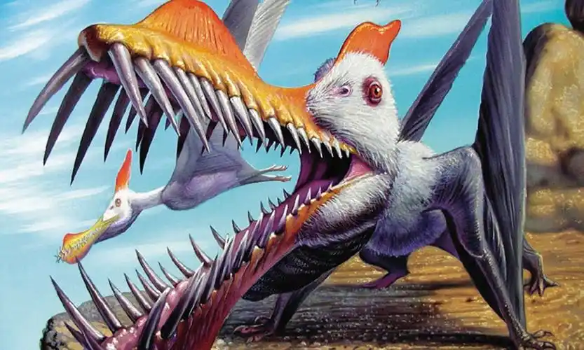 一些翼龙拥有与众不同的牙齿,这可能有助于了解它们吃什么食物