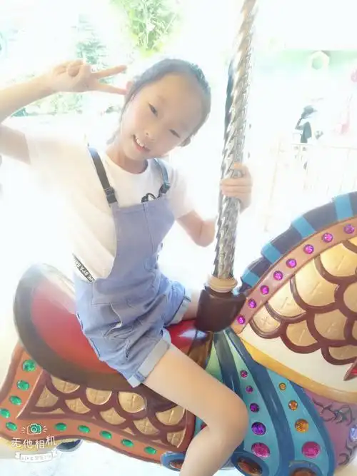 我很喜欢坐在木马上那种飘飘欲仙的感觉,感受着它奔跑.