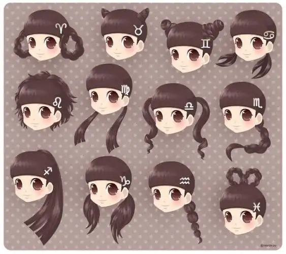 十二星座发型