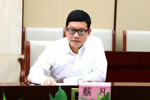 副区长蔡凡参加活动并讲话蔡凡指出该提案紧扣宝安交通建设中的痛点