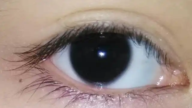 智商可以一眼看出来科学家发现人的瞳孔越大智商水平就越高