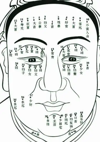 面相算命图解_手相面相大全