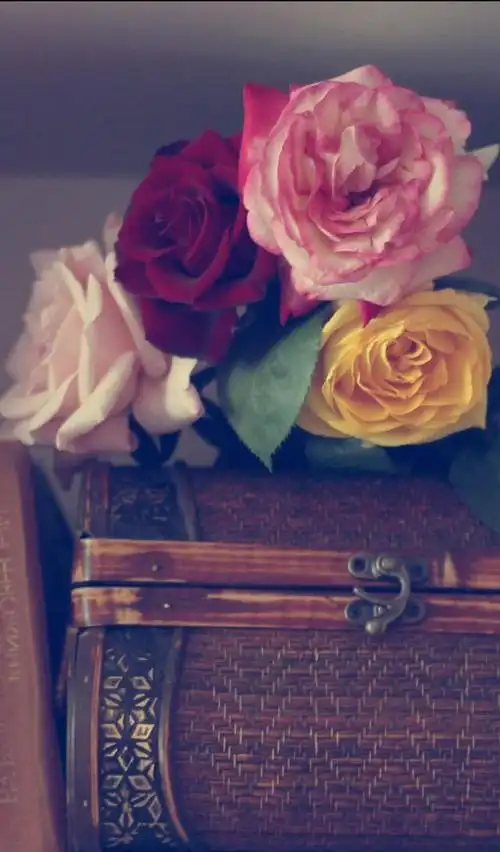 高清手机壁纸唯美复古是否还记得小时候的大白兔奶糖小淘气