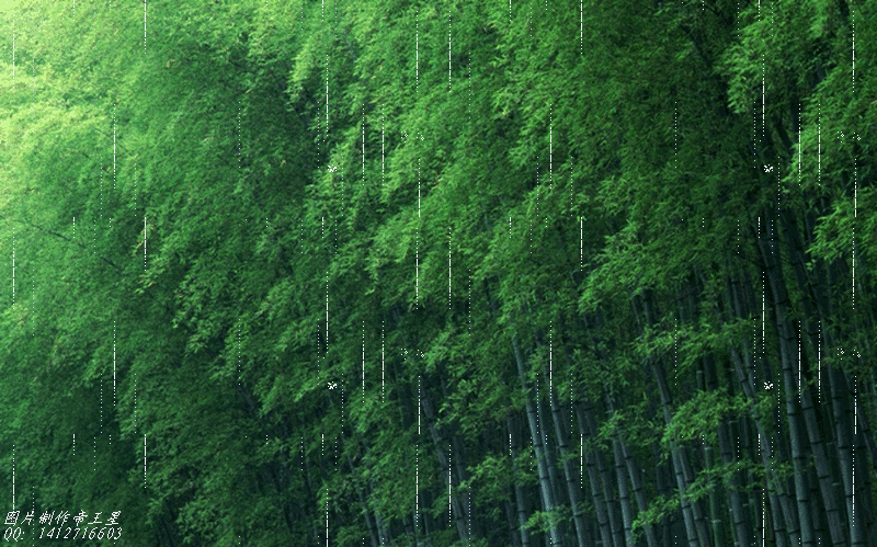 800_499gif 动态图 动图