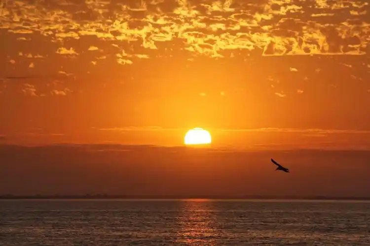 太阳升起 自然 太阳 阳光 幸福 日落 晚间 提高 日出