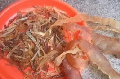 赤米龟鞭的功效与作用