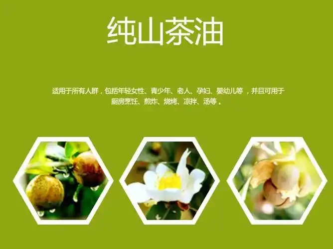 广西巴马特产纯山茶油500ml食用油厂家茶树油物理冷榨山茶籽油