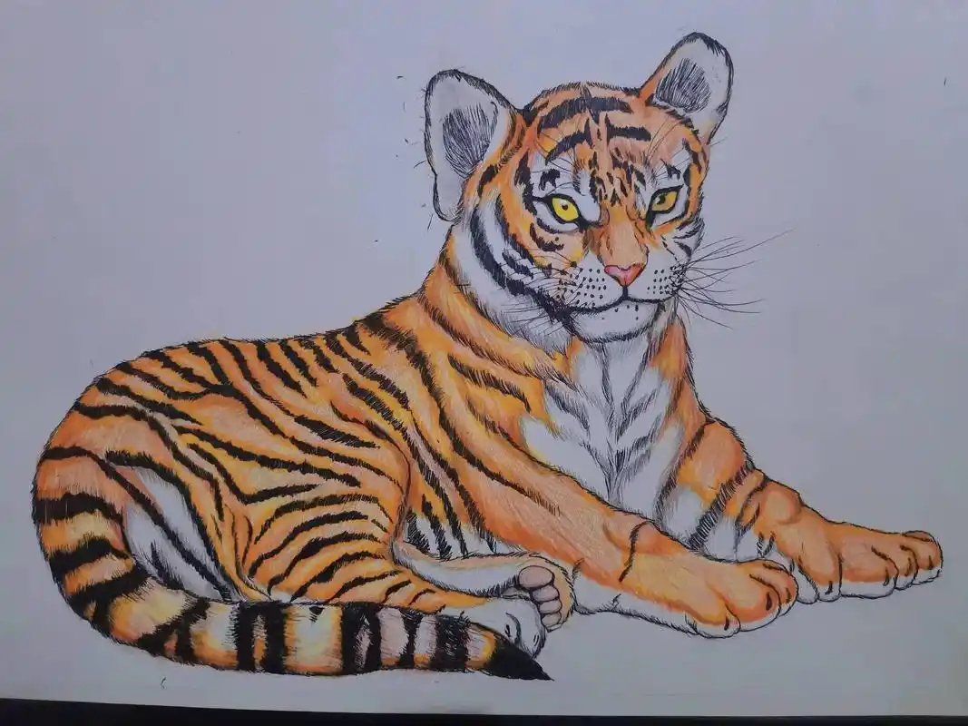 手绘 #马克笔 #彩铅#动物 #老虎  - 抖音