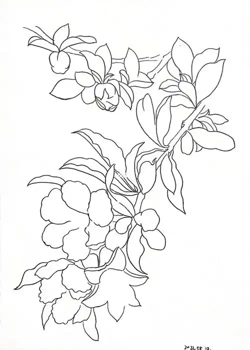 第353天打卡石榴花