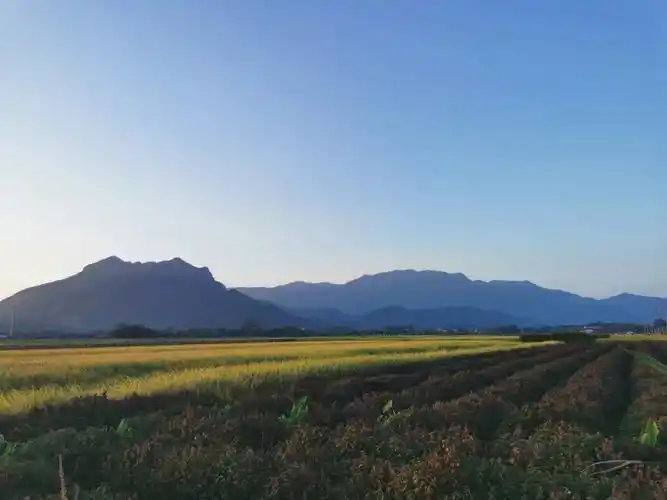 阳春马兰村一日游