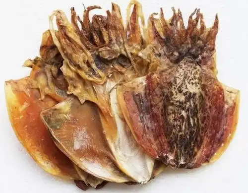 墨鱼干烘干机 jay-jk-hgj10