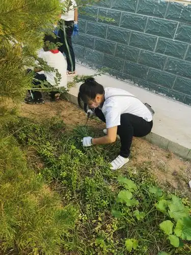 养成教育课程之——校园是我家,除草护绿靠大家