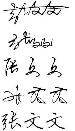 张文文 艺术签名