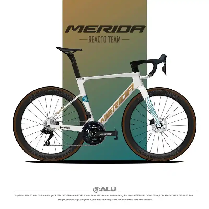 壁纸 | 美利达瑞克多.车主兄弟@ticktockz  很多 - 抖音