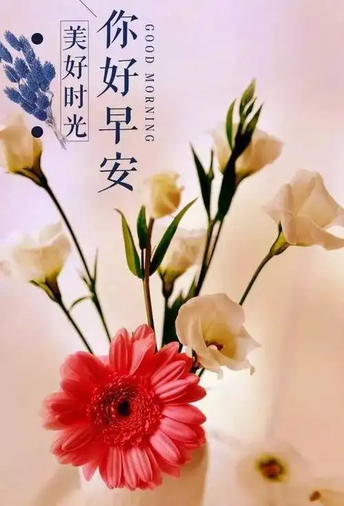 敞开心怀的早安语录正能量句子笑对流年的早上好问候语