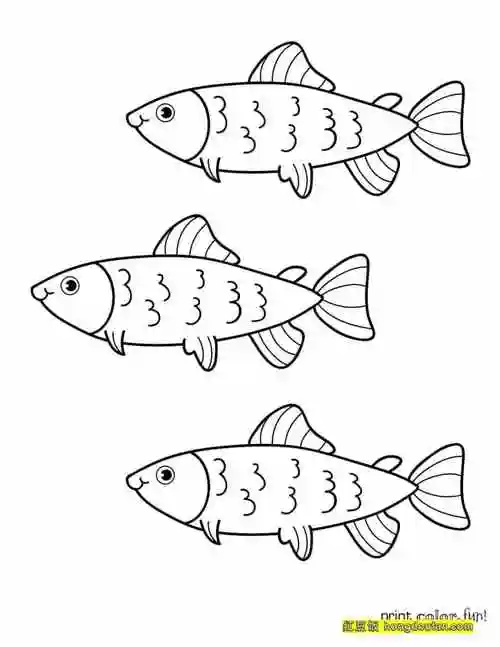 小鱼,小鱼简笔画,尼莫,手绘,数字,有趣,海底世界,涂色,涂色大全,淡水