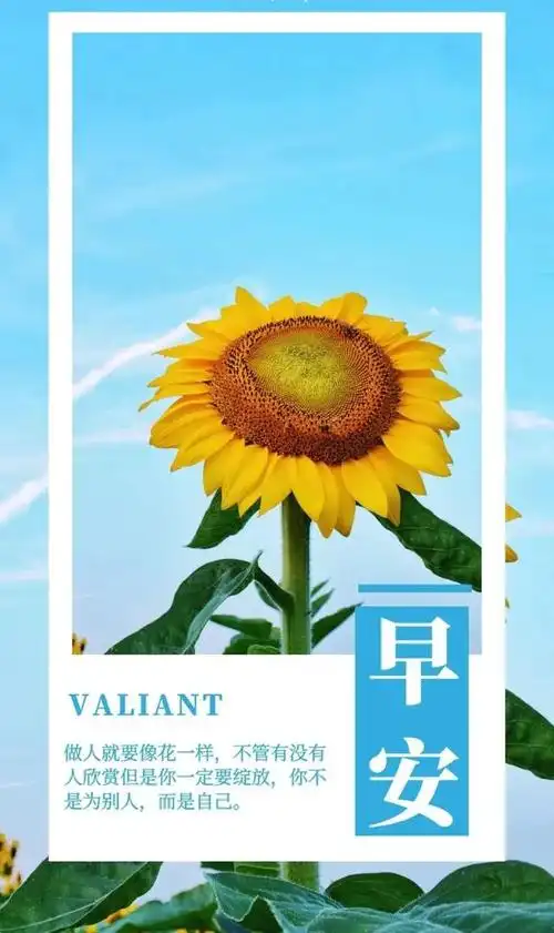 心态正能量句子图片积极向上的心态图片