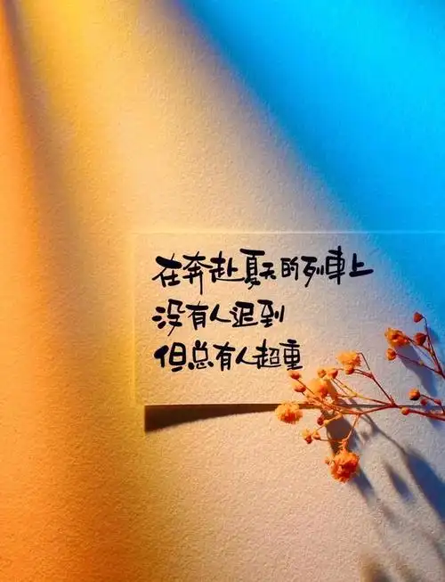 励志语录 感悟生活,把自己活成一束光,自信坦荡,光芒万丈