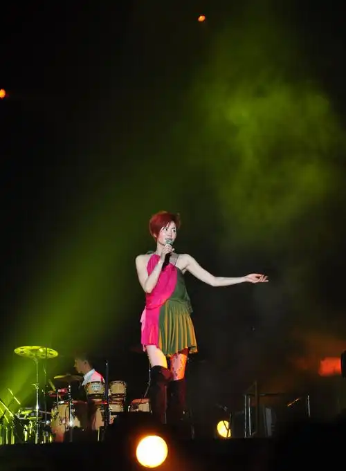 王菲广州演唱会