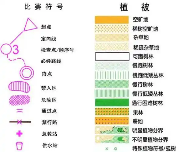 健和头条专业定向运动培训顺利举办