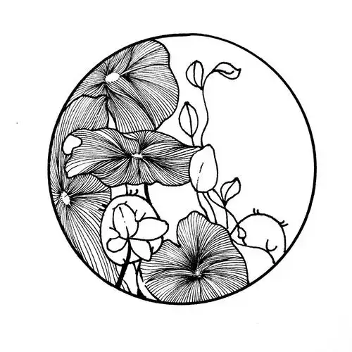 线描作品分享,适合新手学习的简笔画