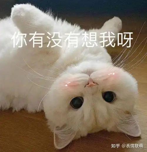 200张精选女生撒娇专用表情 - 知乎