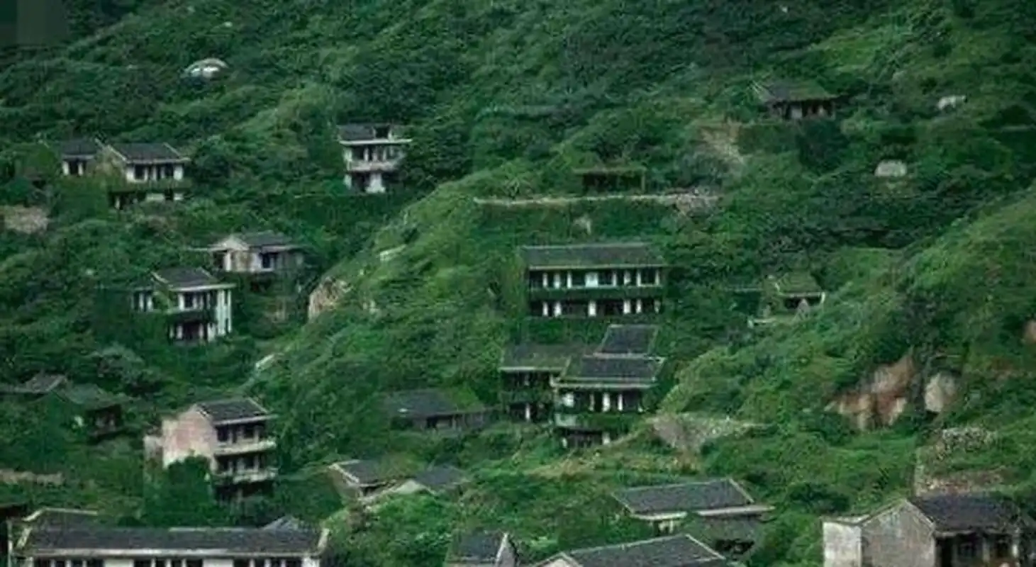 陕西秦岭村庄消失事件,1987年陕西夜狸猫事件真相  如果你听说一个村