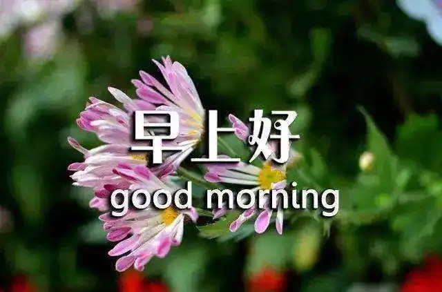 非常漂亮早安问候语图片唯美带字微信早上好正能量语录暖心