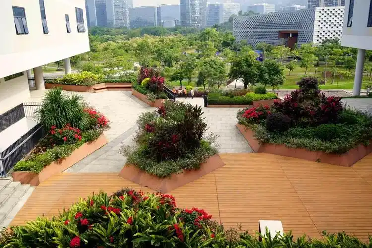 校园景观设计三大原则