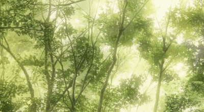 收集   点赞  评论  言叶之庭 新海诚 二次元 动漫 细节 gif 动态