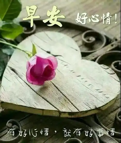 最新早上好问候祝福语短信最美早安问候表情图片带字唯美