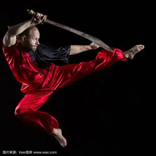 少林功夫格斗姿势,剑在半空中