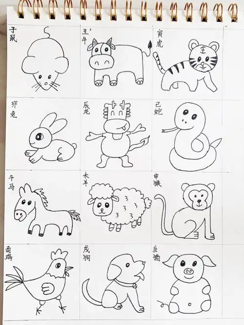 q4:十二生肖最简单的画