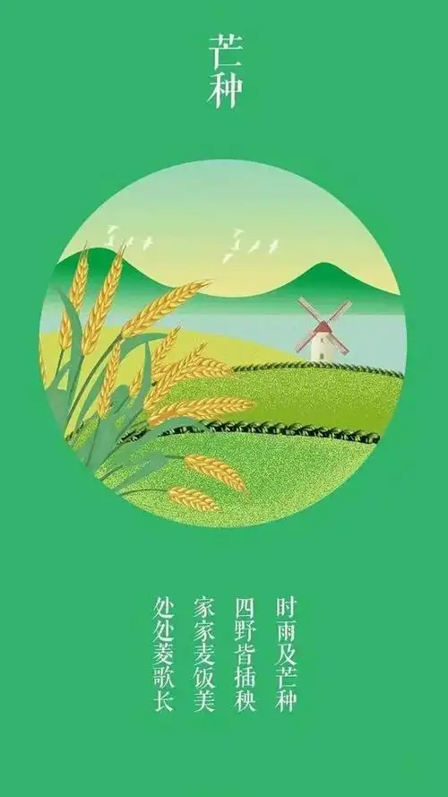 芒种海报配图卡通图片大全,芒种简单图片带字,芒种节气优美图片