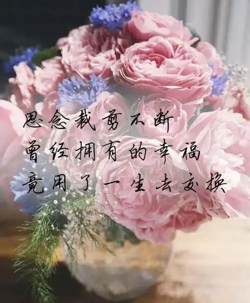 心碎后,才真正懂得心痛