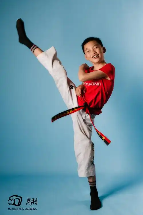 跆拳道小子
