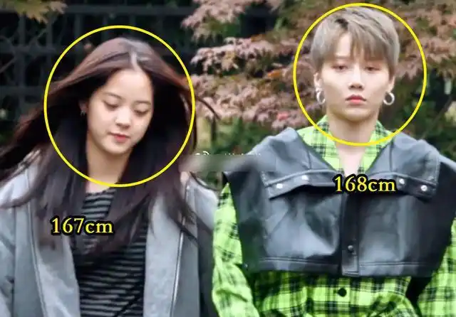 因为刘雨昕和欧阳娜娜之间,仅仅是相差了一厘米的,所以二人的身高差距