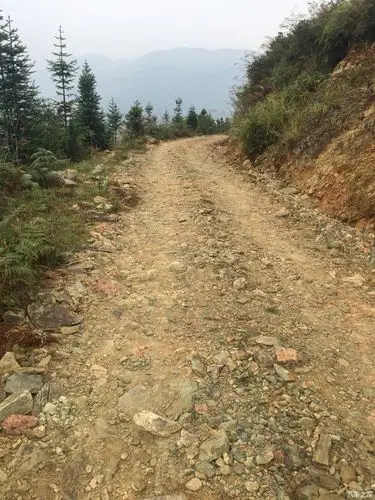 石头泥巴路,非常陡的!