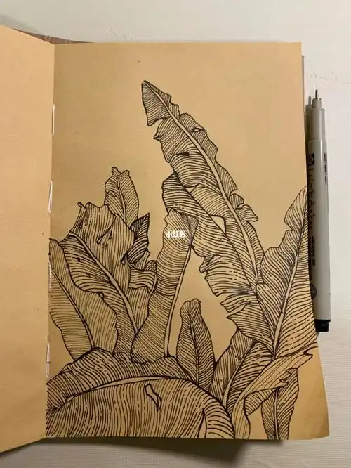 画芭蕉叶|11.27_绘画_手绘_素材_寻找小红书绘画大神_兴趣爱好_绘画