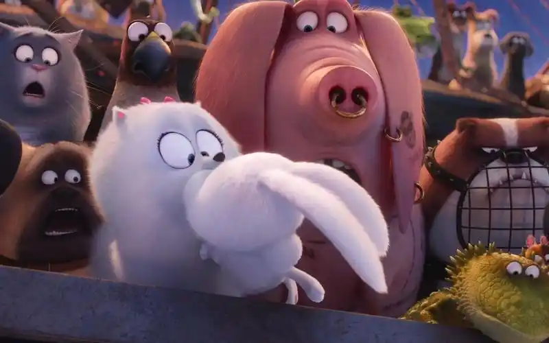 小鸟伏特加,耍酷还得它