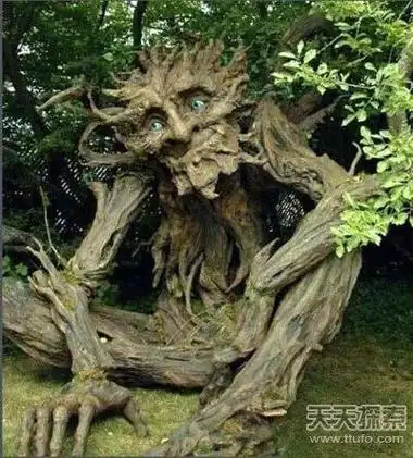 吃人无数!传说中的恐怖食人树真存在?