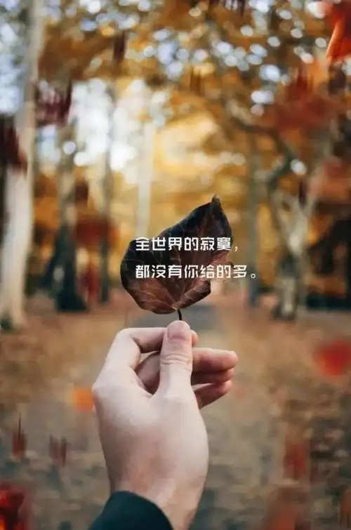 永别了我的伤心地